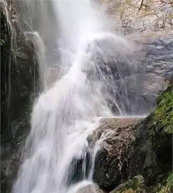 救援小巨鳄